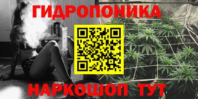 молекула духа Анапа
