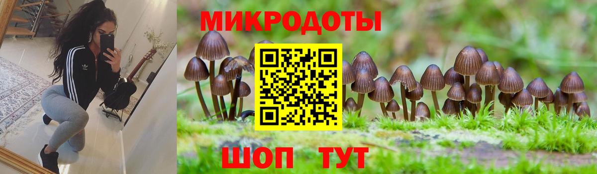 Псилоцибиновые грибы Cubensis Воткинск
